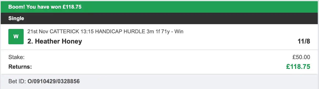 Racing UK Tipster - Winner 1 - 2025-11-21