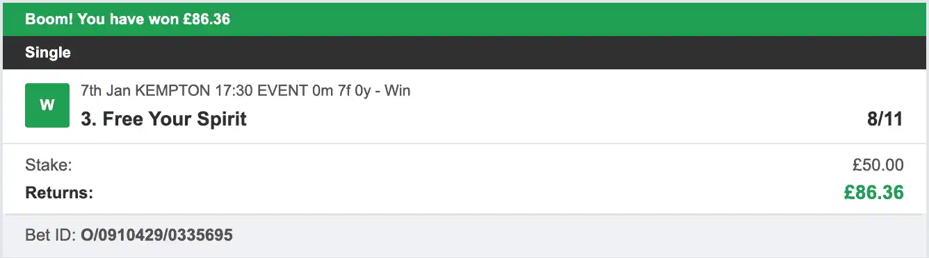 Racing UK Tipster - Winner 2 - 2026-01-07